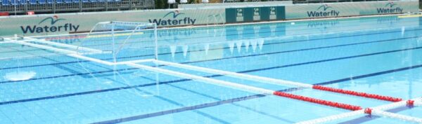 Waterfly