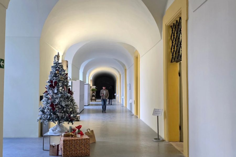 490390845_1246079450734578_6353821511338805146_n