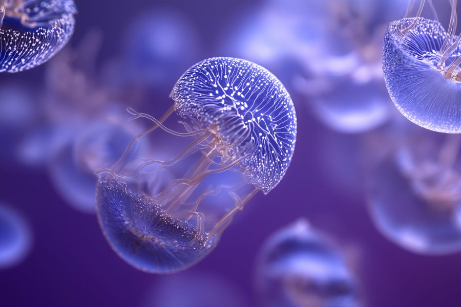 AdobeStock_1767089588