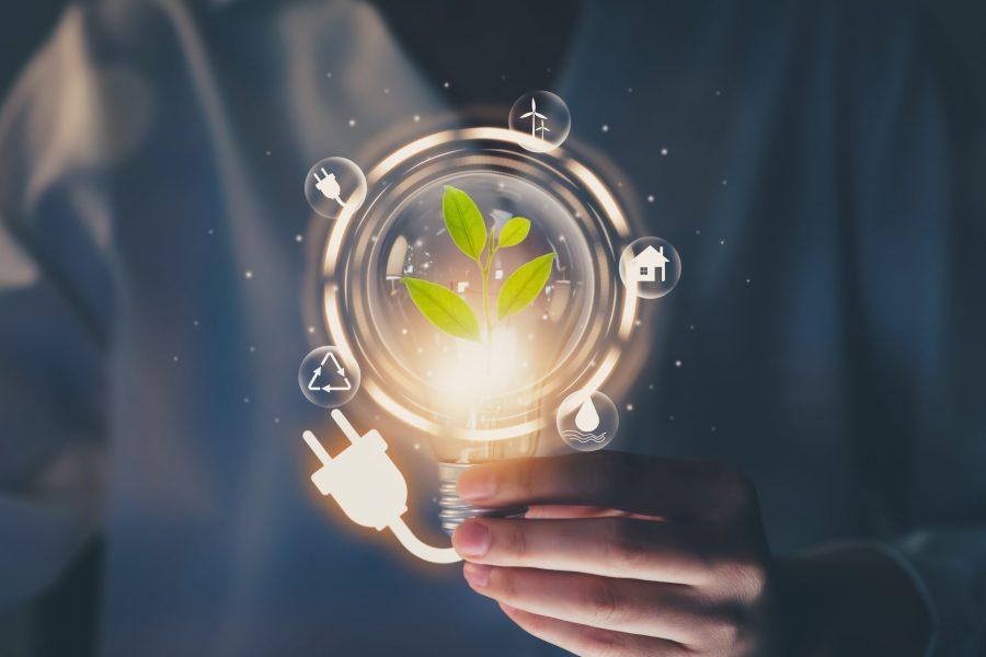 Hand holding light bulb with power plug and show trees, renewable energy icons with sustainable development.