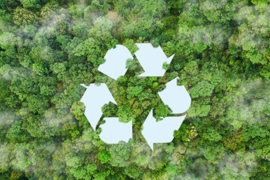 environment sustainable circular economy for future growth of business Carbon neutral and net zero environment A climate-neutral long-term strategy greenhouse gas emissions targets on nature background.