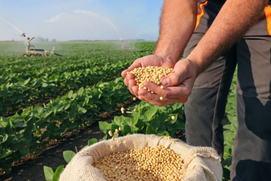 Agroalimentare - Green Itraly 2021
