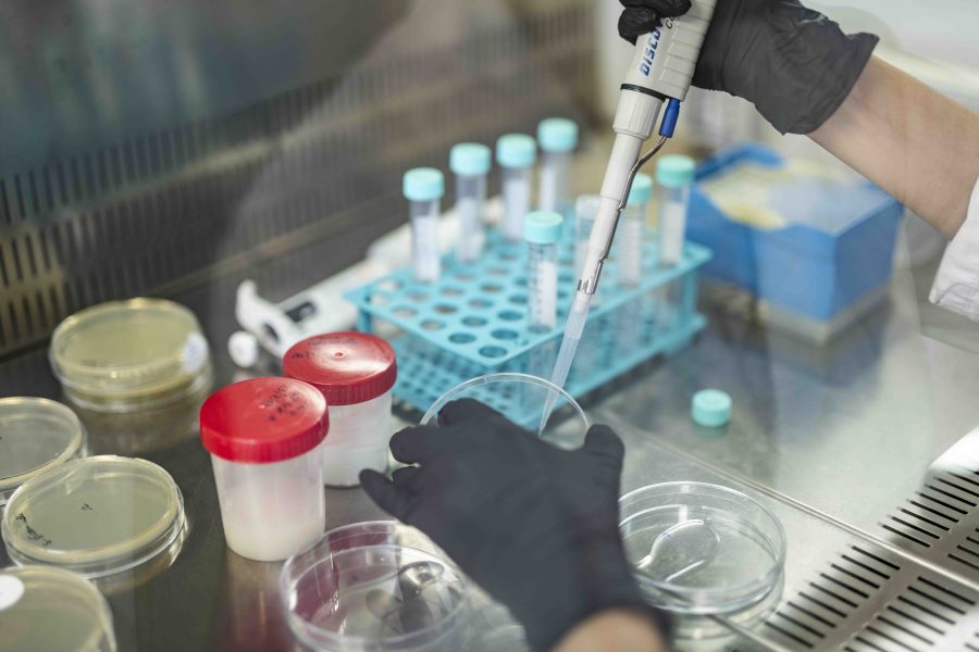 laboratorio medico