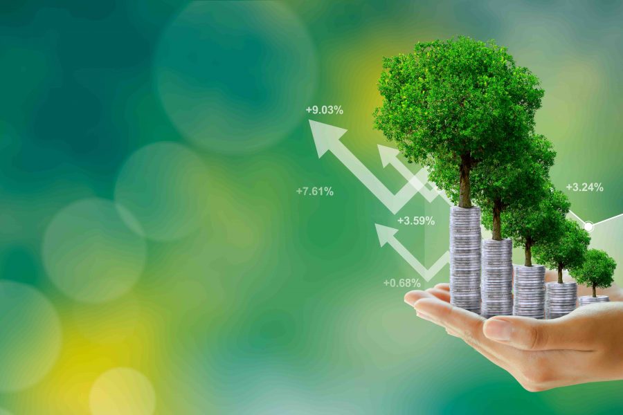 Businessman hand holding step of coins stacks with tree growing on top in nature green background. Money saving, investment, family planning, money growth, business success Concept.