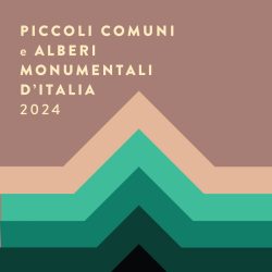 COPERTINA-800x800_alberi-2-maggio