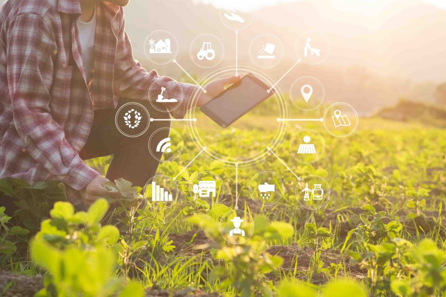 Agriculture technology farmer man using tablet computer analysis data and visual icon.