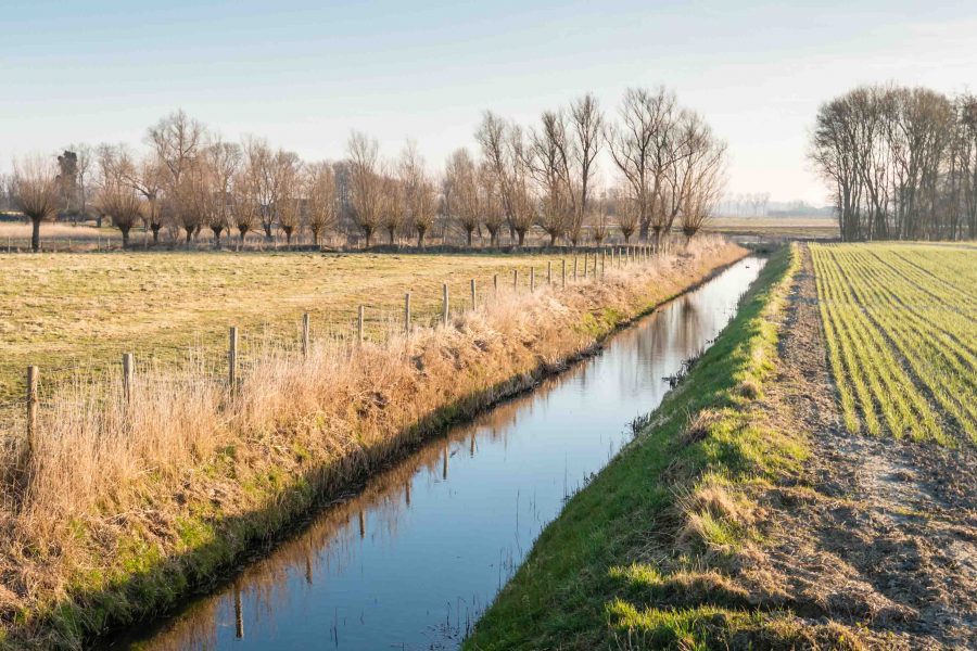 Farmland divided by a ditch and in the background bare trees  reflected in the mirror-smooth surface.