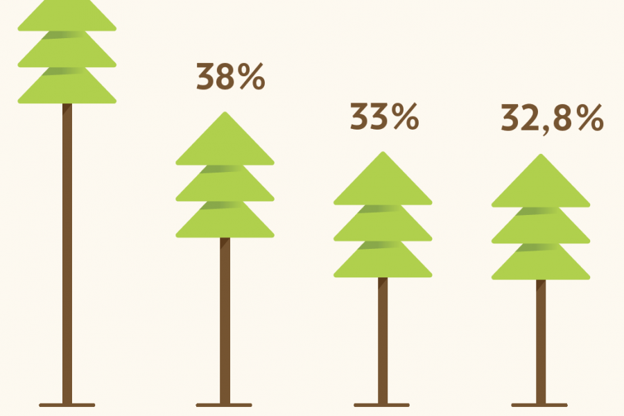 ITALIA SECONDA IN EUROPA PER COPERTURA FORESTALE