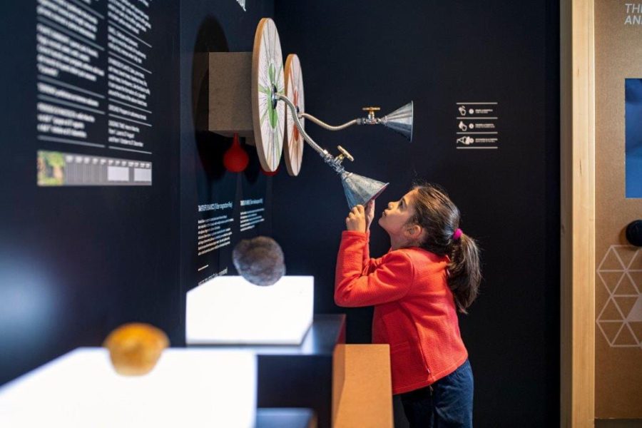 MUSEO TARTUFO ACQUALAGNA 1 MUSEO TARTUFO ACQUALAGNA 1