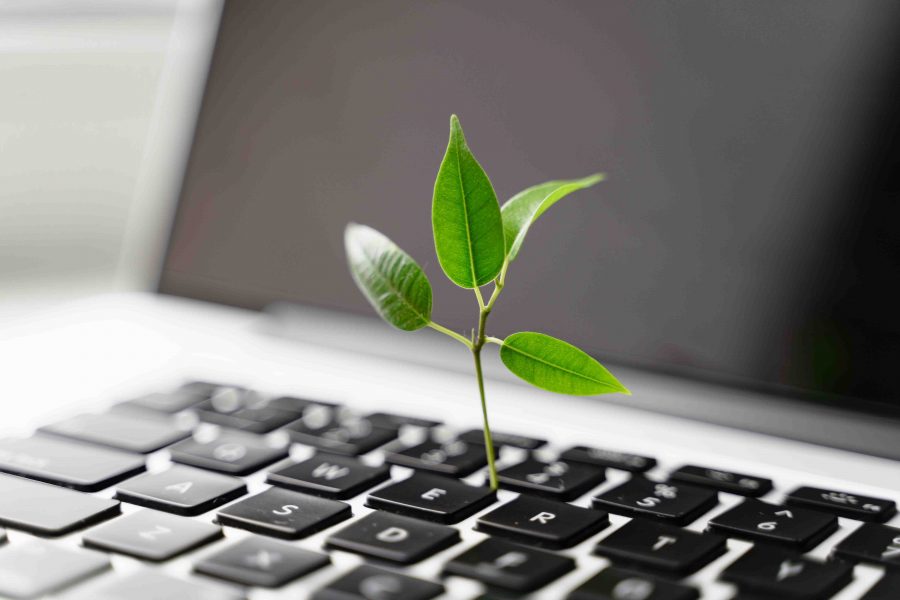 Laptop keyboard with plant growing on it. Green IT computing concept. Carbon efficient technology. Digital sustainability . High quality photo