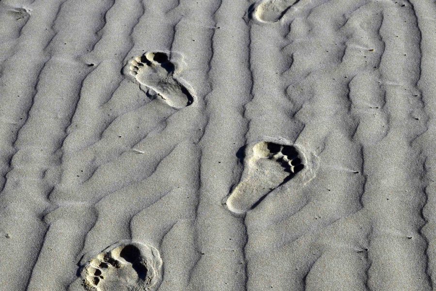 Sand ocean beach.