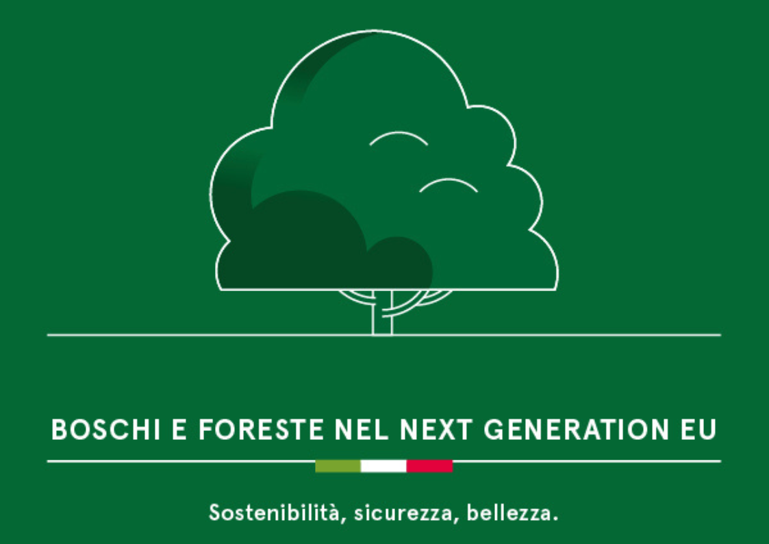 Progetto senza titolo - 2023-01-30T152349.708