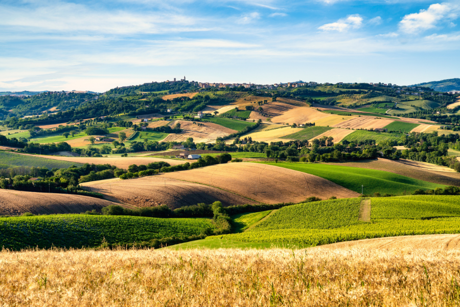 Progetto senza titolo - 2024-04-29T131305.648