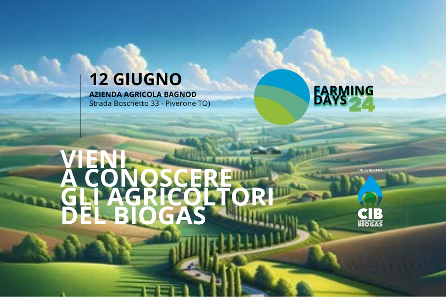 Progetto senza titolo - 2024-05-13T141452.305