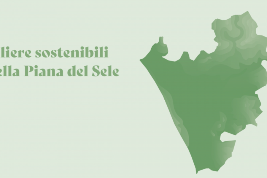 Progetto senza titolo - 2024-09-18T122927.009