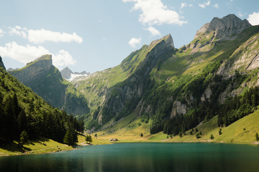 Progetto senza titolo (52)