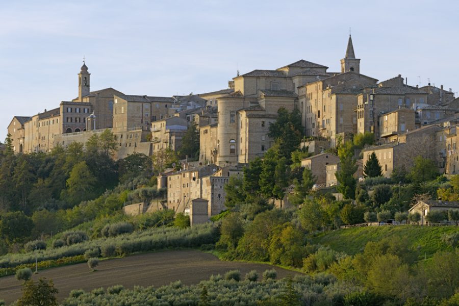 Treia_Panorama