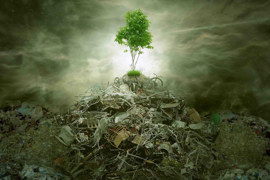 Green concept as tree on top mountain heap of garbage