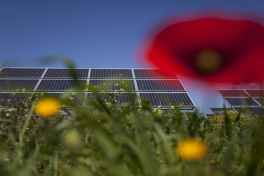 falck renewables