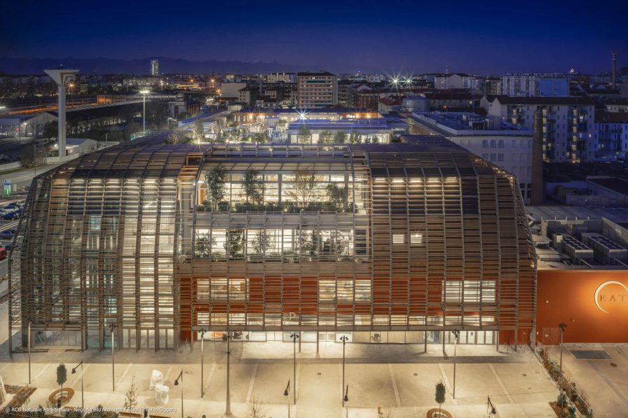 green-pea-torino-homepage-slideshow