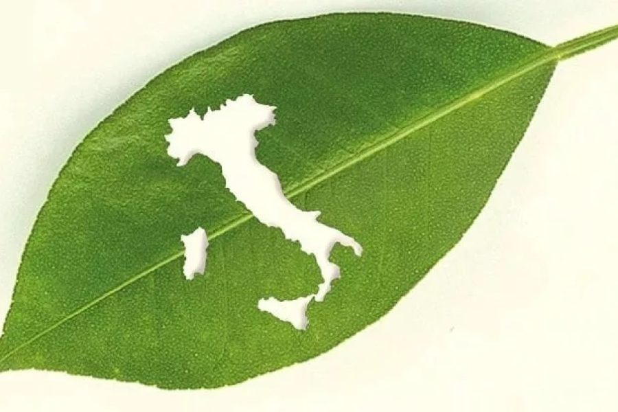 italia green_libro_frittella