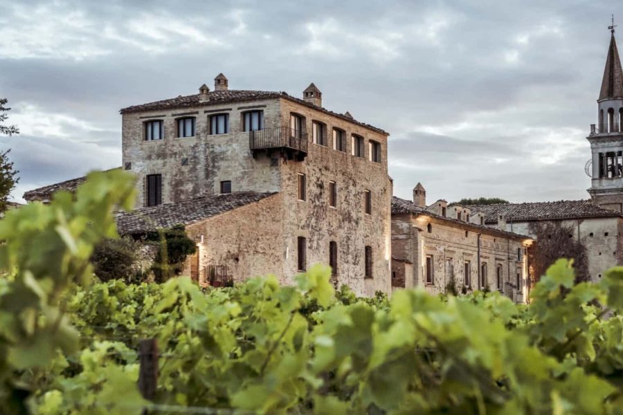 la-cantina-masciarelli-hero la-cantina-masciarelli-hero