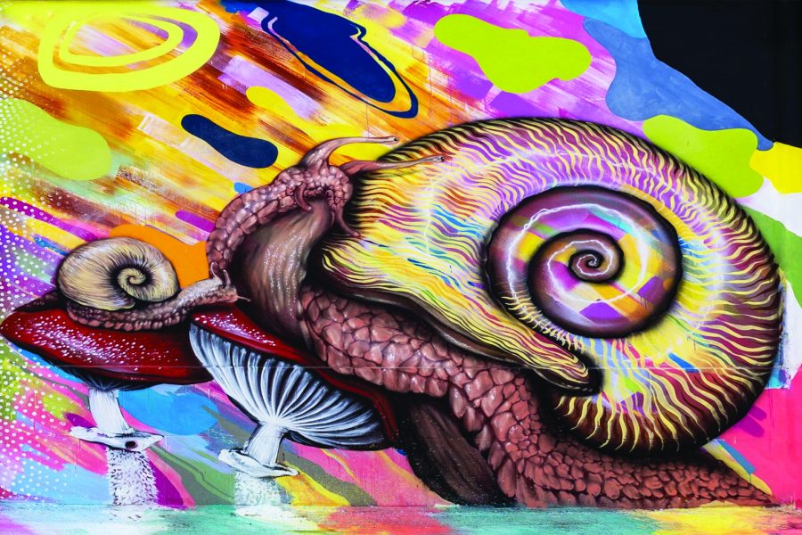 lumaca-x-stampa-70x47cm-1