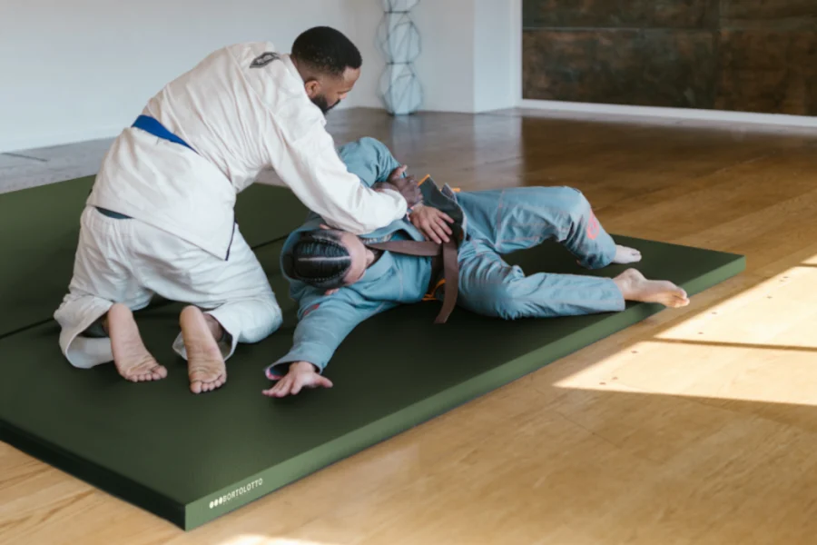 tatami-tradizionali-pleat-up-bortolotto